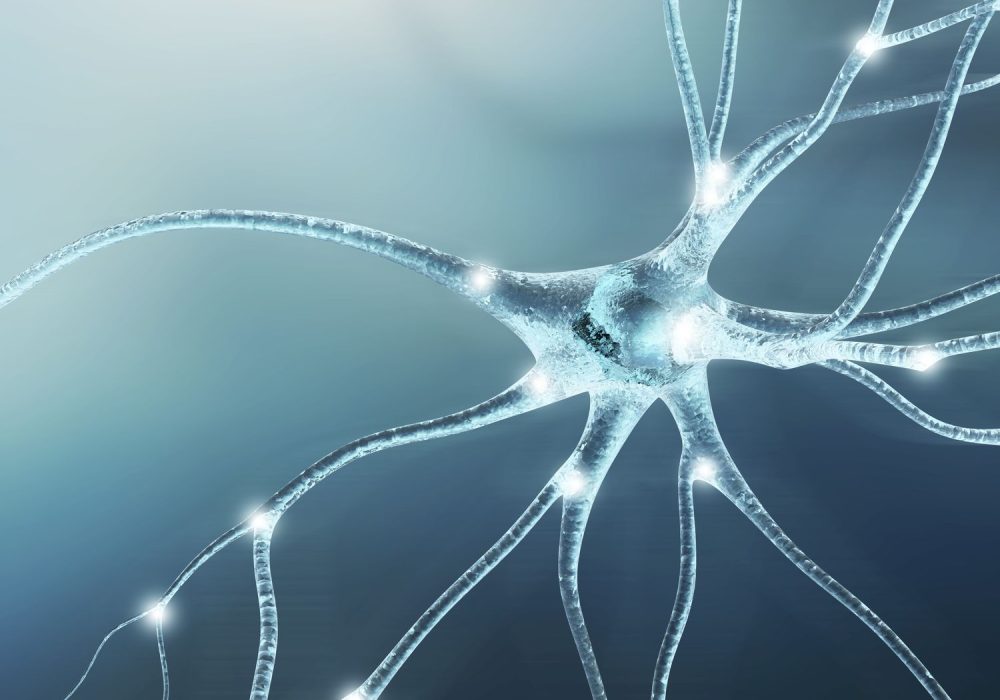 neurons